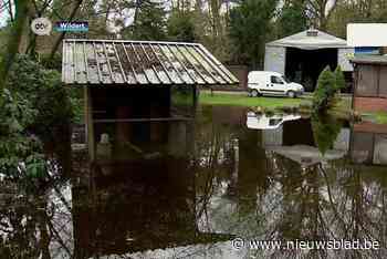 Woonwijk in Essen staat al sinds december onder water: gemeentebestuur komt met oplossing