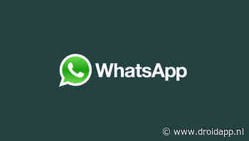 WhatsApp test nieuwe, handige zoekbalk voor app