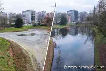 Antwerps grondwaterpeil is dankzij regen ‘normaal’ of ‘uitzonderlijk hoog’