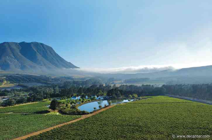 South Africa's Hemel-en-Aarde: A Chardonnay paradise