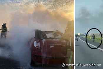 Brandende auto die werd achtergelaten op E40 was net verkocht aan twee Fransen: “Hij is kapot, haal hem zelf maar terug”