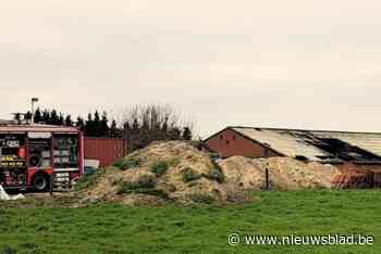 Asbest vrijgekomen bij brand in loods in Baarle-Hertog