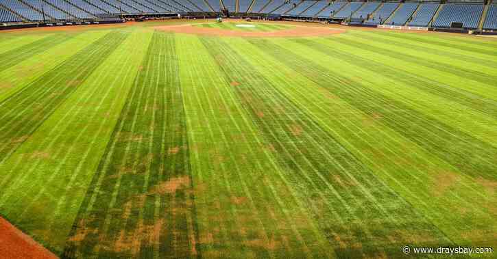 Rays introduce striped field for 2024