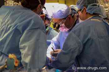 Surgeons Implant Pig Kidney Into First Living Human Patient