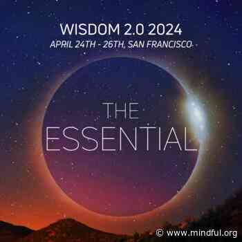 Essence and Connection at the Wisdom 2.0 2024 Conference