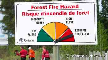 Ontario to give out $5K bonuses to wildland firefighters