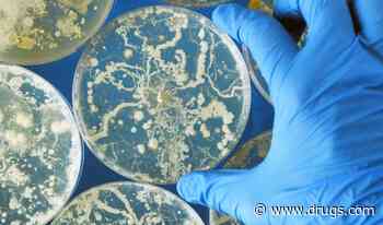 Fewer Cases of Fungal Diseases Coincided With Start of COVID-19