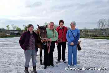 Sponsors zorgen voor mooi paascadeau voor  Polly’s Ranch: 100 ton zand