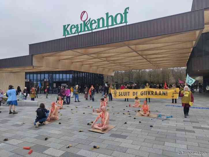 Extinction Rebellion protesteert naakt bij opening Keukenhof