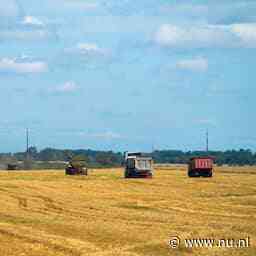 EU vreest dat Rusland goedkoop graan dumpt en wil heffingen invoeren