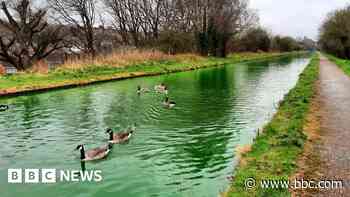 Confusion after canal turns green to find leaks