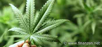 Cannabis-Aktien profitieren von Hoffnung auf Neubewertung durch die DEA