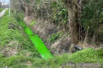 Fluorescerende waterlopen zijn resultaat van Aquafintest