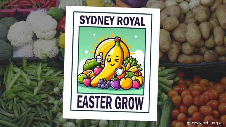 Sydney Royal Easter Show Urged to ‘Grow Vegan’ and Leave 200 Years of Animal Abuse in the Past