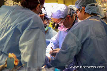 In a first, surgeons successfully transplant a pig kidney into a man