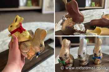 Aldi’s and Lindt chocolate bunnies taste test: I was stunned