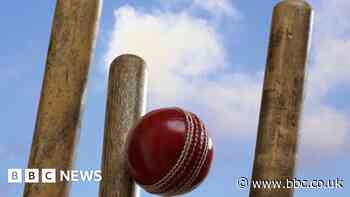 Homes to be protected from stray cricket balls