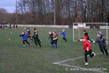 Open VLD eist dat jeugdvoetballertjes in Terkoest kunnen blijven spelen