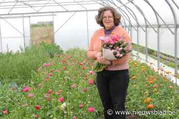 Kristien van Buitenbloemen bezorgt in Noorderkempen boeketten van bloemen uit eigen tuin tijdens bloeimaanden