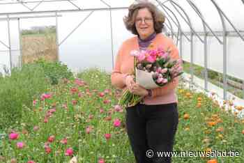 Kristien van Buitenbloemen levert boeketten van bloemen uit eigen tuin in Noorderkempen