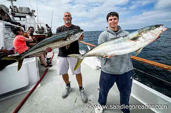 2024 continues to impress with yellowfin much closer to San Diego than they should be
