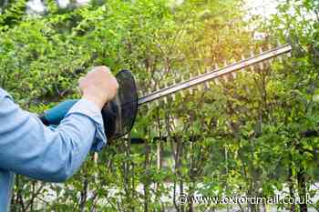 Is it criminal damage to cut a neighbours hedge? See UK law