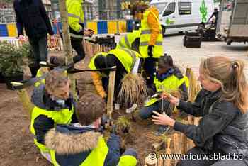 Flageyplein krijgt meer dan honderd nieuwe bomen