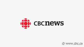 Beached orca in B.C. dies despite life-saving efforts