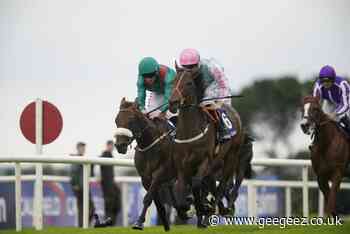 Purple Lily proves significant potential in Naas triumph