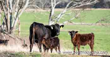 Addressing fertility needs of drought-damaged pastures