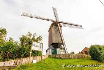 Middeleeuwse molen moet na uitdagende restauratie opnieuw malen: “Eerst moeten we de molenkast van 32 ton van haar staak tillen”