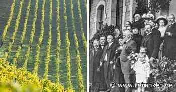 Kitzingen: Weingut am Wilhelmsberg droht nach fast 180 Jahren das Aus