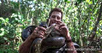Groene anaconda die ontdekt werd door Freek Vonk overleden, vermoedelijk doodgeschoten