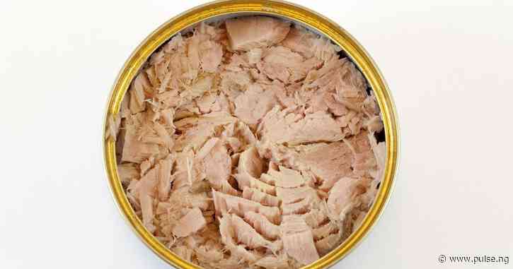 Why tuna is not safe for pregnant women