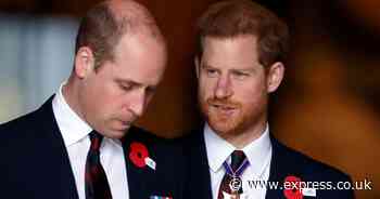 Prince Harry 'texting William' about Princess Kate's cancer even though he was blindsided