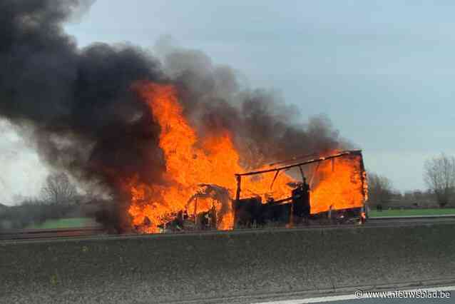 Lichte vrachtwagen brandt volledig uit op E40 in Nevele: chauffeur ongedeerd