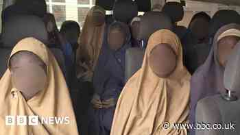 Nigerian pupils taken in mass abduction freed