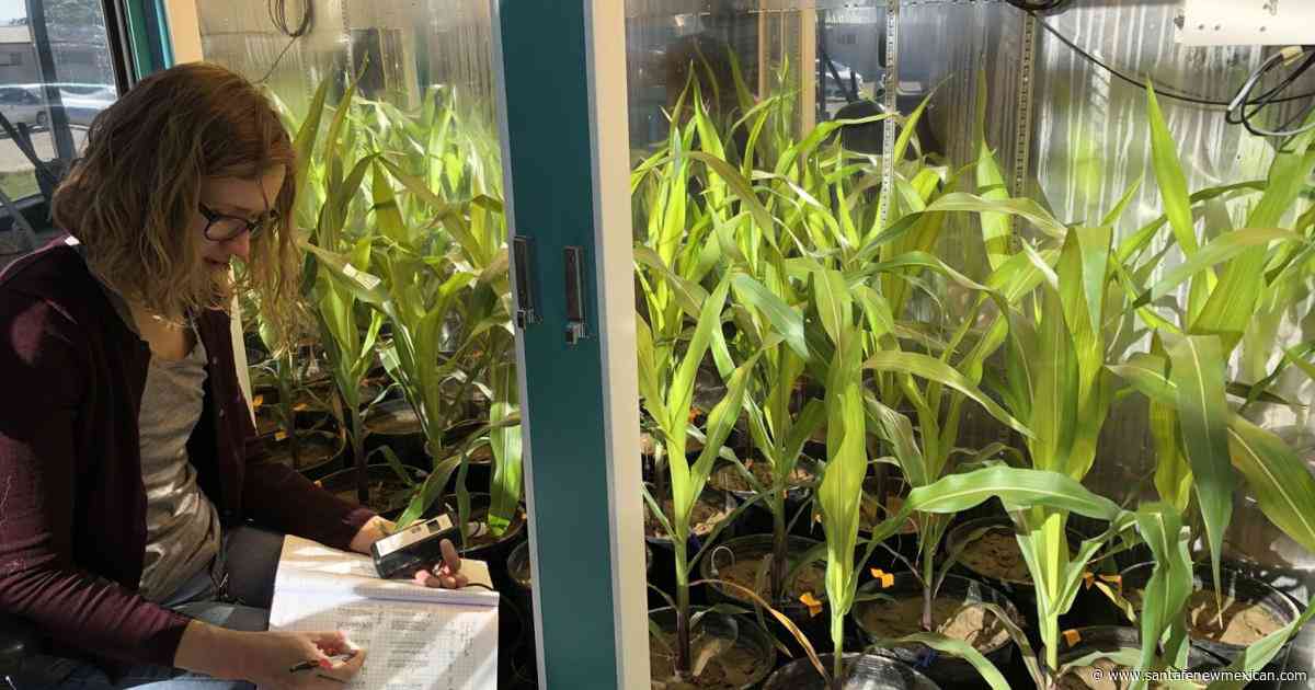 Can plant science save the world?