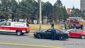 Two people found dead after fire in Saint John homeless encampment