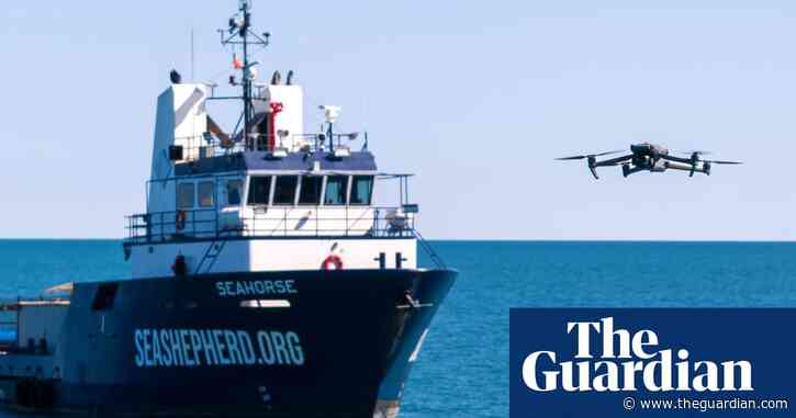 Eyes in the sky: why drones are ‘beyond effective’ for animal rights campaigners around the world