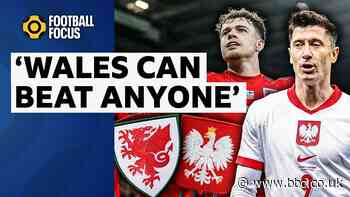 'Wales can beat anyone at home' - Williams