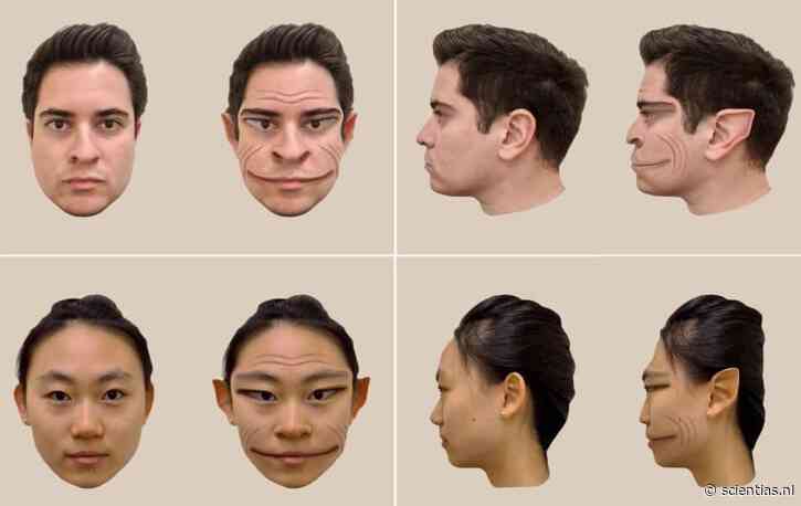 Wetenschappers vinden man voor wie elk gezicht duivelse trekjes heeft – behalve als hij die gezichten in de krant of op een scherm ziet (en dat biedt mogelijkheden)