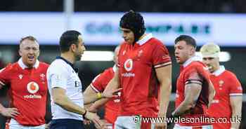 Six Nations referee announces he's quitting rugby days after Wales controversy