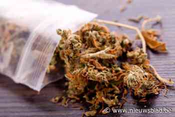 Nederlander vrijgesproken voor smokkel van 3,5 kilo cannabis nabij grens met Zelzate