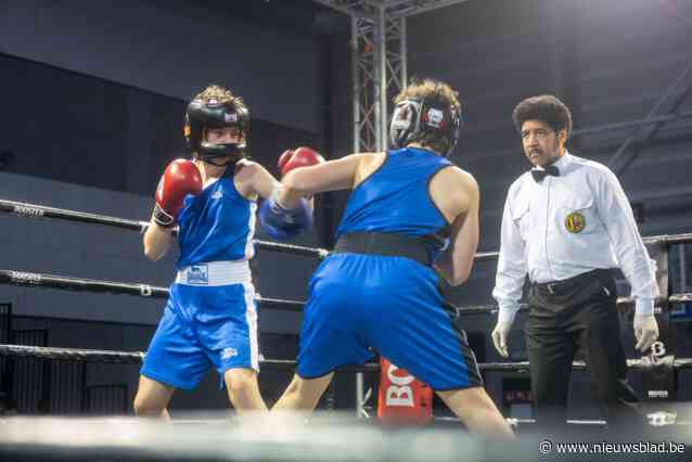 Boksteam Zele organiseert vierde keer recreantentoernooi