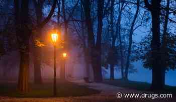 Outdoor Light at Night, Air Pollution Linked to Cerebrovascular Disease