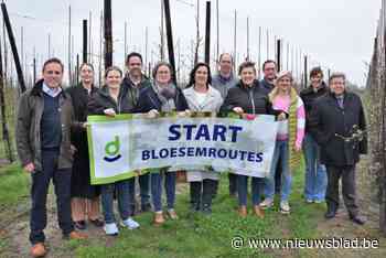 Bloesemroutes door ‘fruitigste dorp van de provincie’ breiden uit: “Veel inwoners en landbouwers stellen een stuk grond open voor wandelaars”