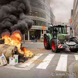Boeren kunnen nieuwe tegemoetkomingen EU vergeten na nieuw geweld in Brussel