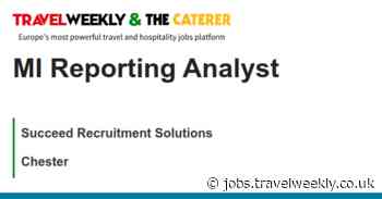 Succeed Recruitment Solutions: MI Reporting Analyst