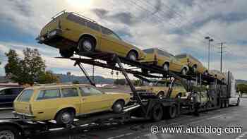 Six-pack of identical Ford Pinto Wagons for sale, in case you were looking